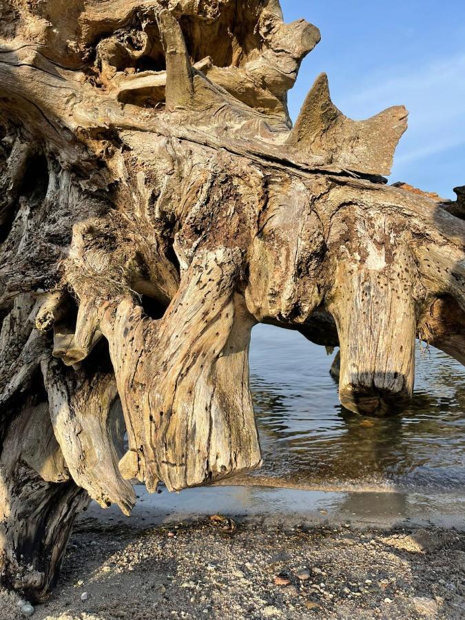 Urlaub Nahe Der Peene Naehe Der Ostsee Rustow Zewnętrze zdjęcie